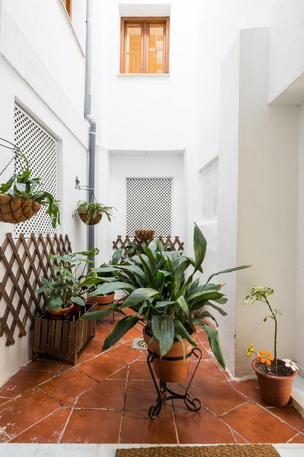 Livings En Elvira Centro Apartment Granada Ngoại thất bức ảnh